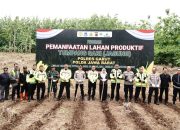 Wakapolda Jabar, Pimpin Pemanfaatan Lahan Tumpangsari (Jagung) di Garut