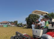 Ikuti Panen Raya Padi Serentak Bersama Presiden, Ini 3 Kebijakan Bupati Bandung yang Pro Petani