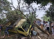 Polisi Evakusasi Truk Tabrak Pohon Petai