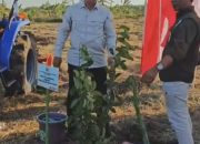 Bersama Pulihkan Alam : Kolaborasi BPDAS, Polda Jabar, dan Kementan Tanam Pohon di Sumedang