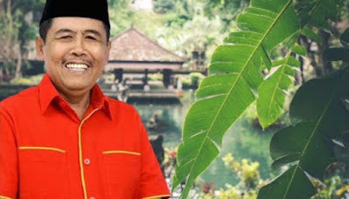 Jawa Barat Siap Gelar Pilkades Digital 2026 : DPRD Dukung, Minta Persiapan Matang
