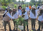 DWP Kementerian Kehutanan Gelar Penanaman Pohon Peringati Hari Bakti Rimbawan ke-43