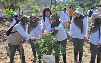 DWP Kementerian Kehutanan Gelar Penanaman Pohon Peringati Hari Bakti Rimbawan ke-43