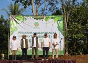 Menanam Hari Ini, Menjaga Esok: Cerita Rimbawan di Rumpin