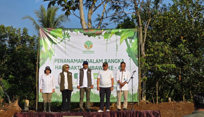 Menanam Hari Ini, Menjaga Esok: Cerita Rimbawan di Rumpin