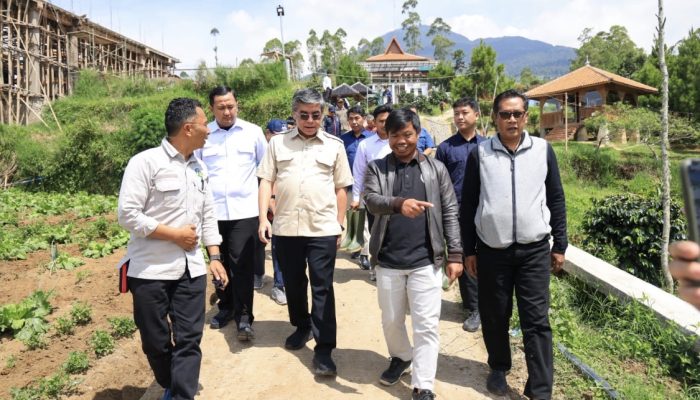 Kemnaker Siapkan Pelatihan Agroforestry untuk Perluas Peluang Kerja Warga Garut