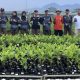 BPDAS Citarum Ciliwung Optimalkan Produksi Bibit Lewat Pembinaan Teknis di Rumpin