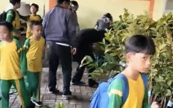 Kolaborasi BPDAS Cimanuk Citanduy dan SD Al Ilham Banjar, 500 Bibit Tanaman Buah Disuplai untuk Siswa