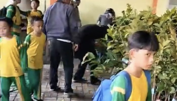 Kolaborasi BPDAS Cimanuk Citanduy dan SD Al Ilham Banjar, 500 Bibit Tanaman Buah Disuplai untuk Siswa