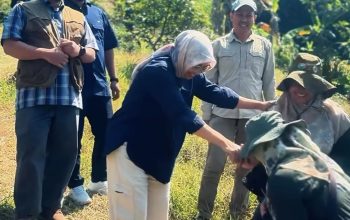 Direktur Teknik Konservasi dan BPDAS Citarum Ciliwung Evaluasi Program Konservasi di Sumedan