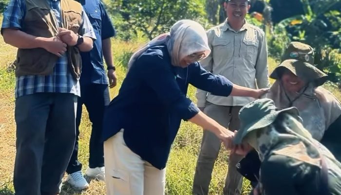 Direktur Teknik Konservasi dan BPDAS Citarum Ciliwung Evaluasi Program Konservasi di Sumedan