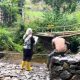 BPDAS Citarum Ciliwung Pantau Dam Penahan dan Gully Plug di Kawasan Hulu Cianjur