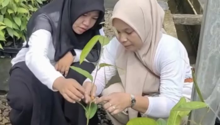 BPDAS Citarum Ciliwung Dampingi KTH Blok Lapangan Pinus Menuju Kemandirian